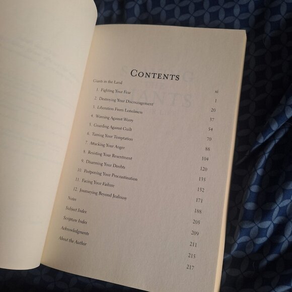 slaying the giants in your life - Picture 4 of 5